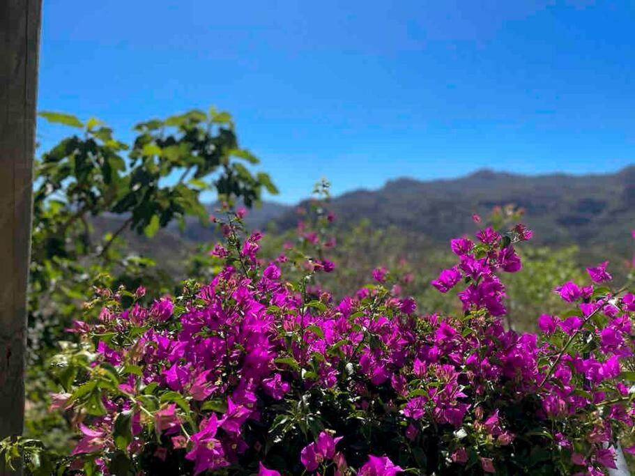 Villa Los Faramondos Naturehouse Turre Exterior foto